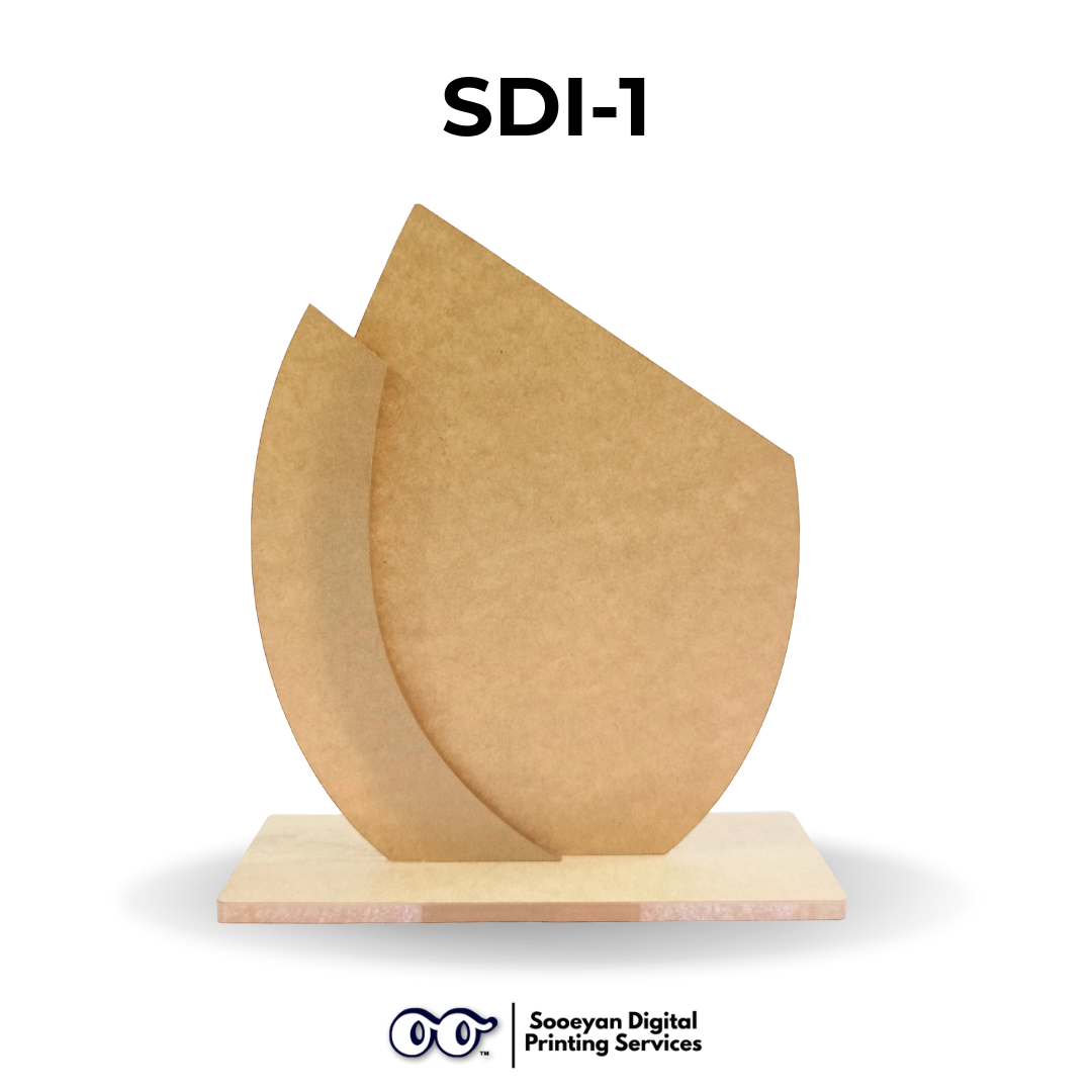 Double Insert Acrylic Plaque